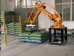 ESTUN Máy robot palletizer tự động cho palletizing túi